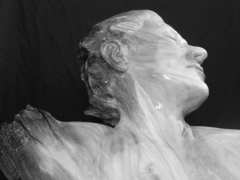 Muestra Bellas Artes- Naturaleza Humana