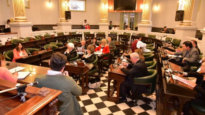 SENADO AUDIENCIA PÚBLICA