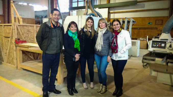 Visitas a talleres forestales