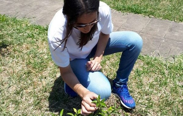 Monitoreo2 de HLB1