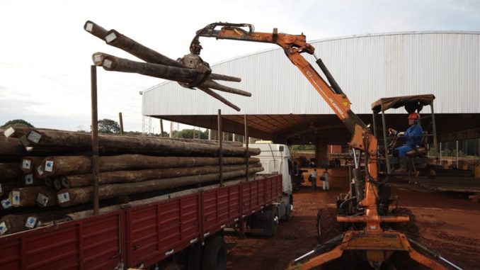 Corrientes-forestoindustria