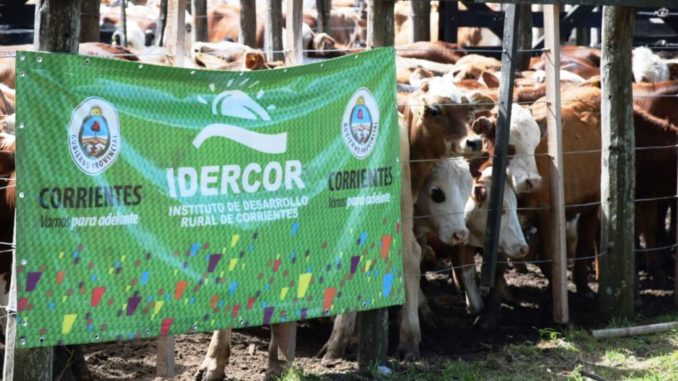 IDECOR REMATES GANADEROS