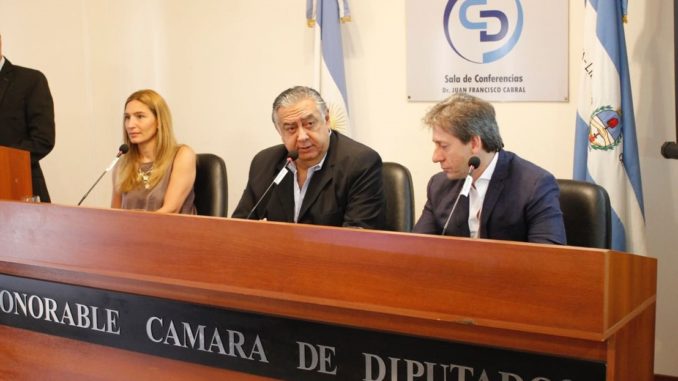 camara de diputados (2)