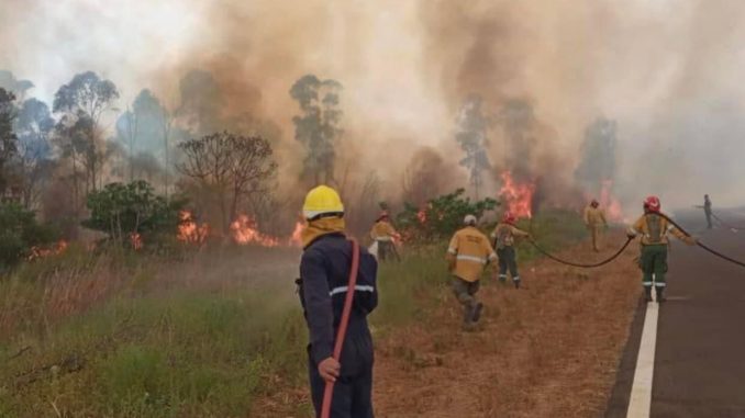 BOMBERO VOLUNTARIO