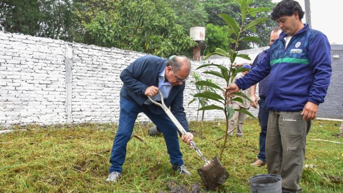 TASSANO PLANTAR ÁRBOLES 2
