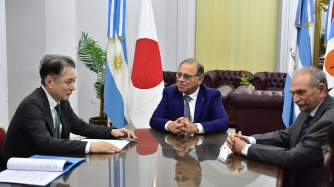 TASSANO JAPÓN