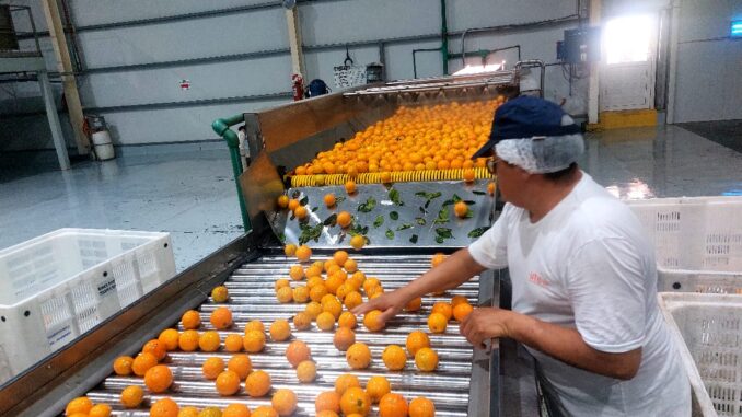 PLAN NARANJA