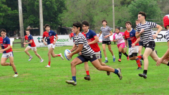 rugby
