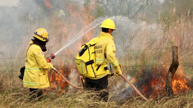 INCENDIOS FORESTALES