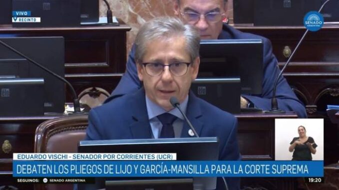 VISCHI PARA REDES 1
