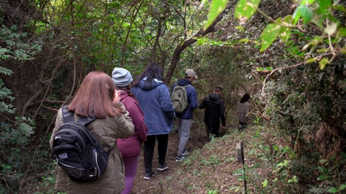 VISITA GUIADA PARQUE SANTA CATALINA