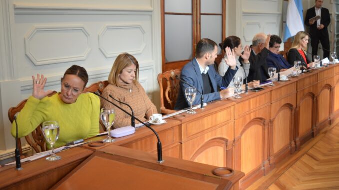 CONCEJO DELIBERANTE MAYO 2025