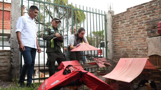 RESCATE DE AVES
